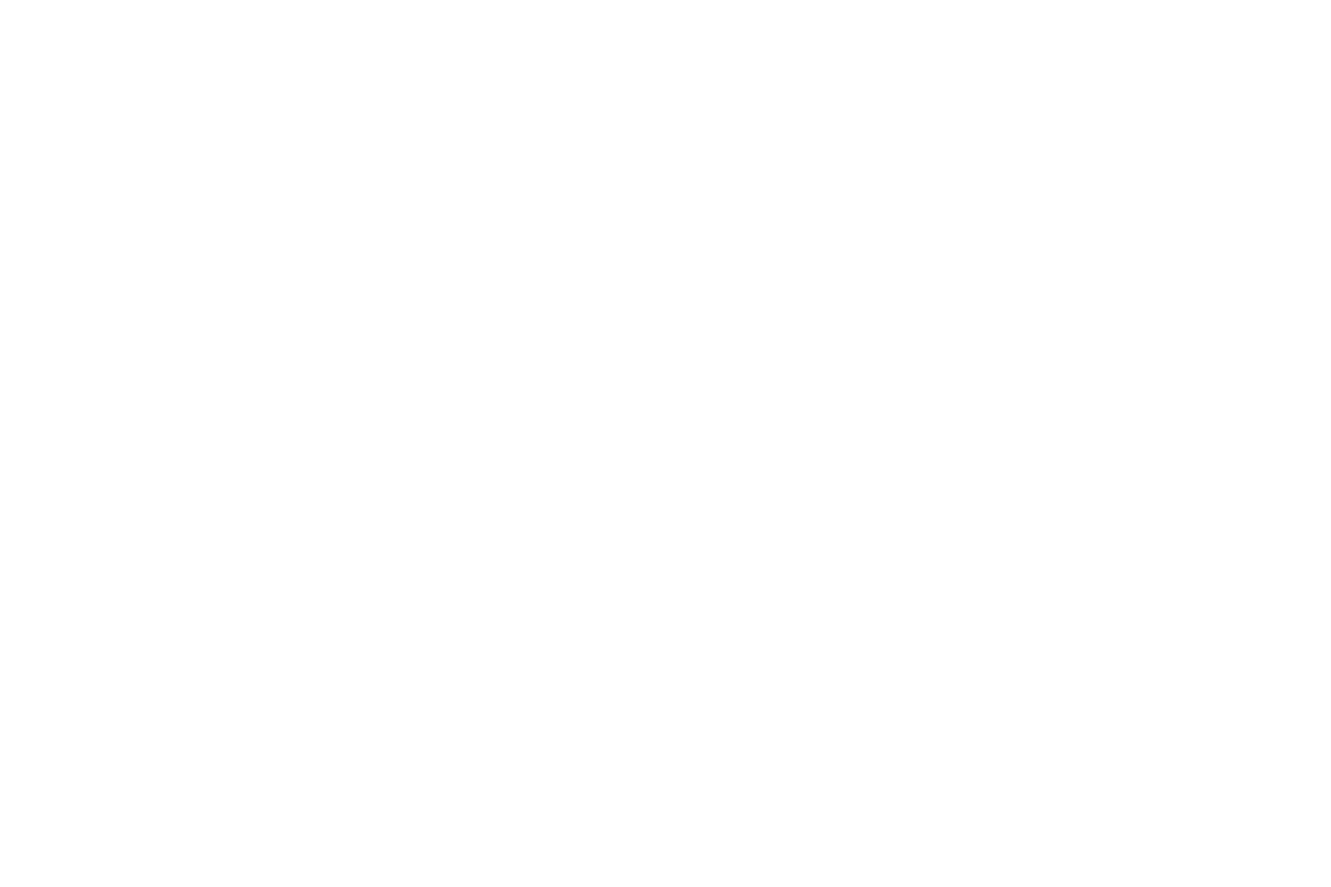 Firma Didier Delmas